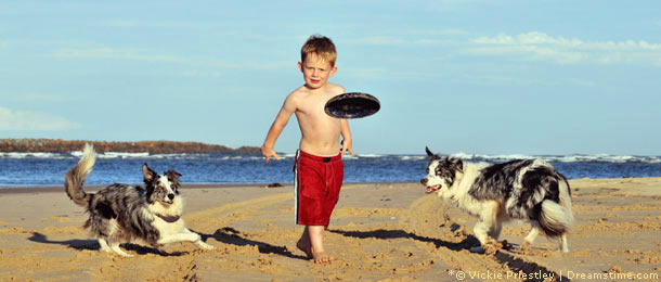 Urlaub Hund Rügen